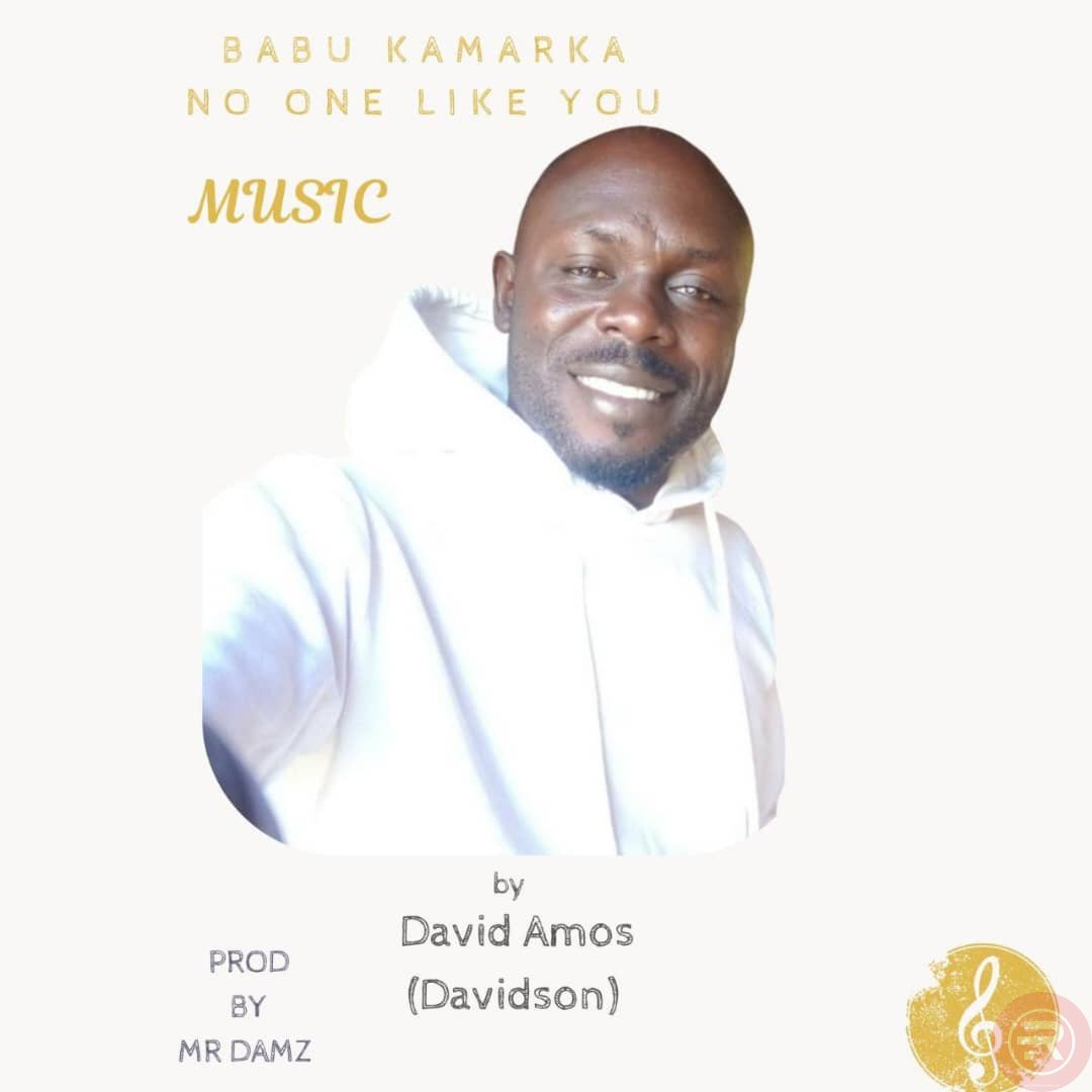 Davison – Babu Kamar ka (NoOne like you) Mp3 Download